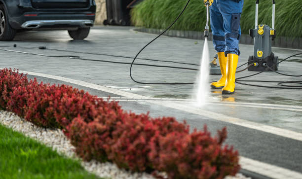 Best House Pressure Washing  in Mendenhall, MS