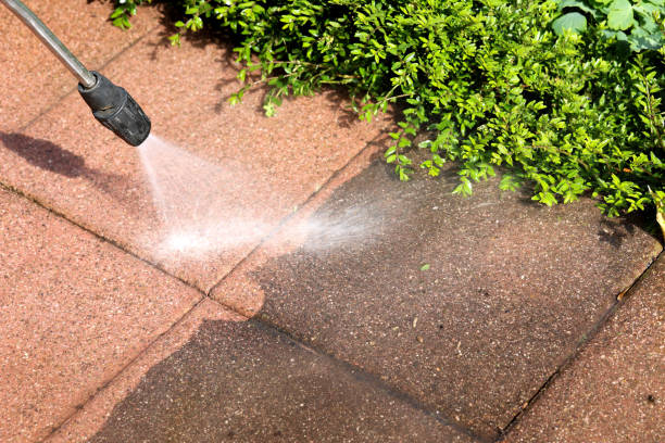 Best House Pressure Washing  in Mendenhall, MS