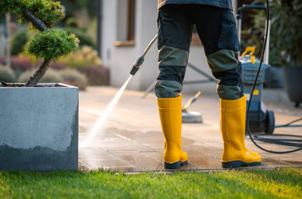 Best Affordable Power Washing  in Mendenhall, MS